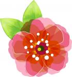 /Files/images/camellia.jpg